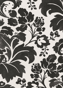 Black & Light 356102 Black & Light 356102