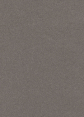 Black & Light 356194 Black & Light 356194