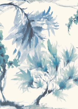 Capri s 1905-124-01 Capri s 1905-124-01