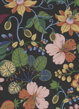 Carmen  smart paper 392504 Carmen  smart paper 392504