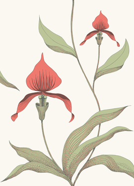 Contemporary Restyled Cole&Son 95/10054 Contemporary Restyled Cole&Son 95/10054
