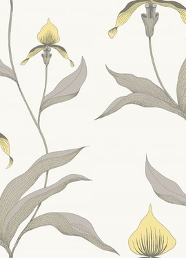 Contemporary Restyled Cole&Son 95/10057 Contemporary Restyled Cole&Son 95/10057