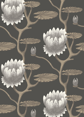Contemporary Restyled Cole&Son 95/4026