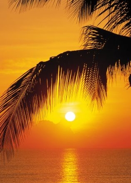 Scenics Edi 1 fototapet 2-1255 Scenics Edi 1 fototapet 2-1255