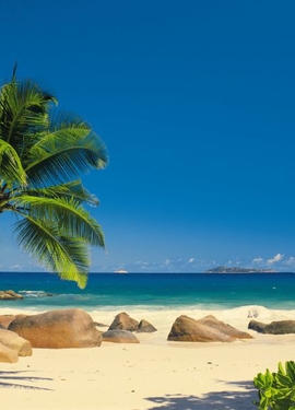 Vol 15 fototapet 4-006 Vol 15 fototapet 4-006