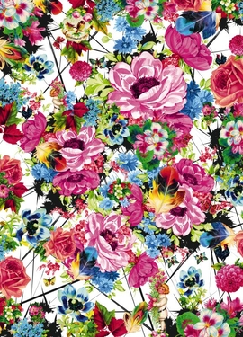 Imagine Edi 1 fototapet 4-749 Imagine Edi 1 fototapet 4-749