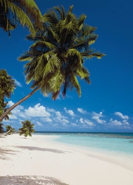 Vol 15 fototapet 8-240 Vol 15 fototapet 8-240