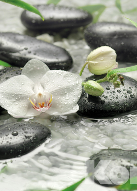 Vol 15 fototapet 8-319 Vol 15 fototapet 8-319