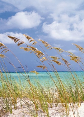 Vol 15 fototapet 8-515 Vol 15 fototapet 8-515