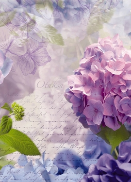 Imagine Edi 3 fototapet 8-705 Imagine Edi 3 fototapet 8-705