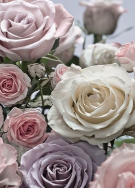 Imagine Edi 3  fototapet 8-736 Imagine Edi 3  fototapet 8-736