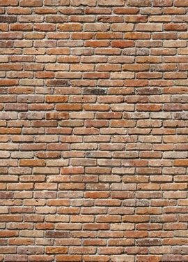 Imagine Edi 3  fototapet 8-741 Imagine Edi 3  fototapet 8-741