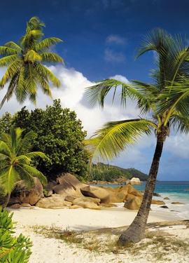 Vol 15 fototapet 8-885 Vol 15 fototapet 8-885