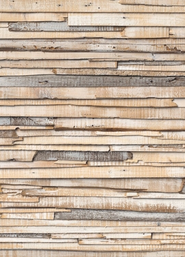 Imagine Edi 3 fototapet 8-920 Imagine Edi 3 fototapet 8-920