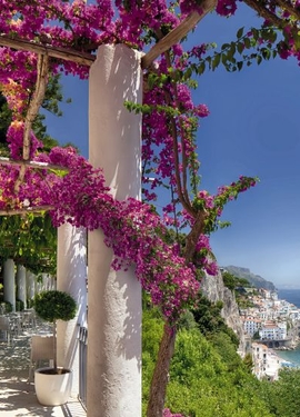 Vol 15 fototapet 8-931 Vol 15 fototapet 8-931