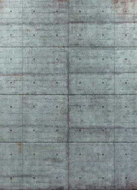 Imagine Edi 3  fototapet 8-938 Imagine Edi 3  fototapet 8-938