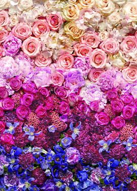 Vol 15 fototapet 8-965 Vol 15 fototapet 8-965