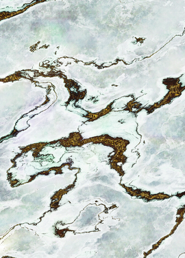 Imagine Edi 3 fototapet 8-981 Imagine Edi 3 fototapet 8-981