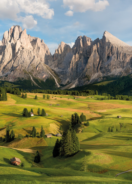 Vol 15 fototapet 8-982 Vol 15 fototapet 8-982