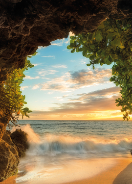 Vol 15 fototapet 8-984 Vol 15 fototapet 8-984