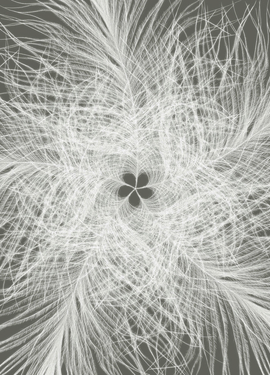 Imagine Edi 3 fototapet XXL4-006 Imagine Edi 3 fototapet XXL4-006