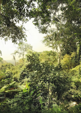 I Illusions 2 fototapet XXL4-024 I Illusions 2 fototapet XXL4-024