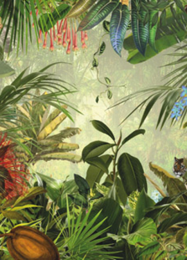 Imagine Edi 3  fototapet XXL4-031 Imagine Edi 3  fototapet XXL4-031