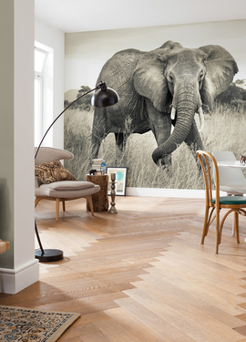 I Illusions 2 fototapet XXL4-529 I Illusions 2 fototapet XXL4-529