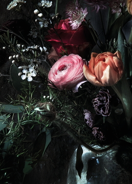 Imagine Edi 3  fototapet 8-999 Imagine Edi 3  fototapet 8-999