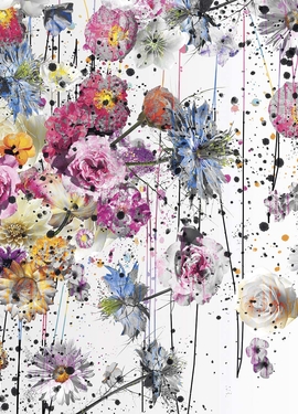 Infinity fototapet 6003A-VD2 Infinity fototapet 6003A-VD2