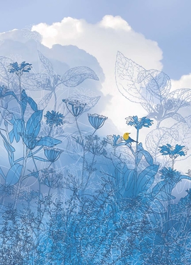 Infinity fototapet 6041A-VD1 Infinity fototapet 6041A-VD1