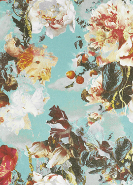 Jean Paul Gaultier Lelievre 3301/01 Jean Paul Gaultier Lelievre 3301/01