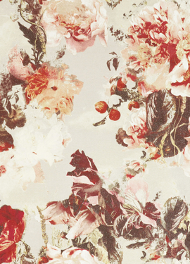 Jean Paul Gaultier Lelievre 3301/03 Jean Paul Gaultier Lelievre 3301/03