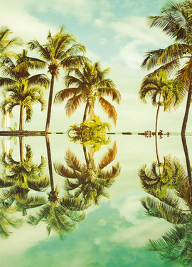 Pure  fototapet P012-VD4 Pure  fototapet P012-VD4