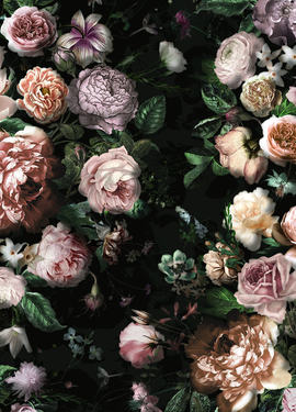 Pure  fototapet P6035A-VD4 Pure  fototapet P6035A-VD4