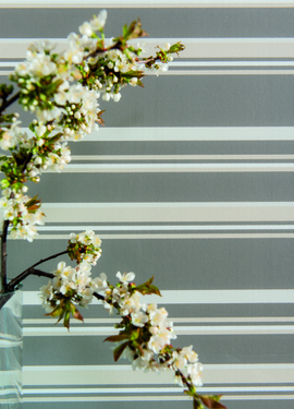 Rand & kulör Duro 303-08 Rand & kulör Duro 303-08