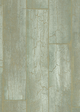 Resource 369024 Resource 369024