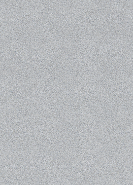 Rice II 383580 Rice II 383580