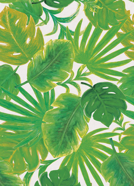 Rice II 383603 Rice II 383603