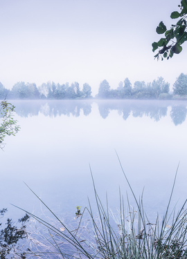 Stefan Hefele by SH002-VD1 Stefan Hefele by SH002-VD1