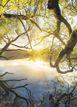 Stefan Hefele by SH080-VD4 Stefan Hefele by SH080-VD4