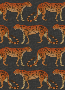 The Ardmore Coll Cole&Son 109/2008 The Ardmore Coll Cole&Son 109/2008