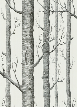 The Contemporary S 69/12147 The Contemporary S 69/12147