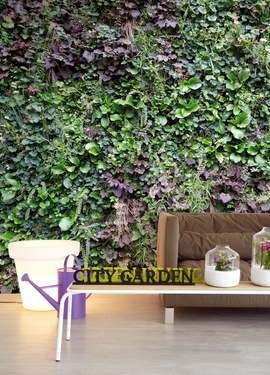 Wallpower Wonders 321558 Wallpower Wonders 321558